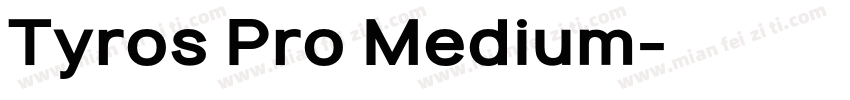 Tyros Pro Medium字体转换